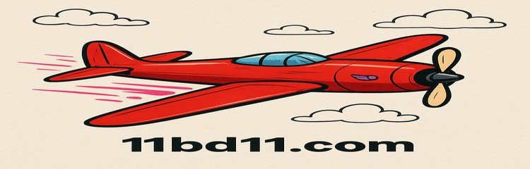 bd11 অ্যাভিয়েটর